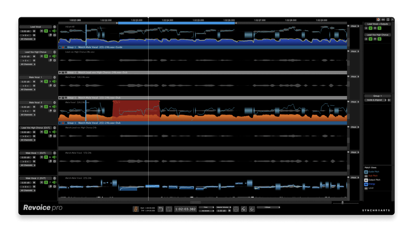 Revoice Pro 5 is a comprehensive vocal editing suite.