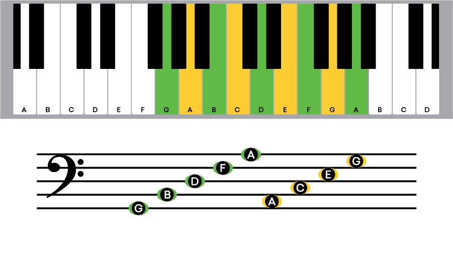 How to Read Music: A Step by Step Guide to Reading Music | LANDR Blog