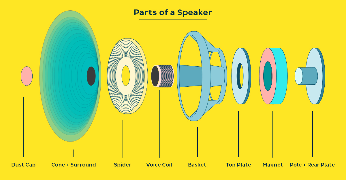 How Do Speakers Work: Understanding Audio Reproduction [Infographic] |  LANDR Blog